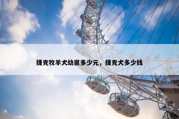 捷克牧羊犬幼崽多少元，捷克犬多少钱
