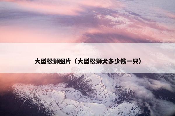 大型松狮图片（大型松狮犬多少钱一只）