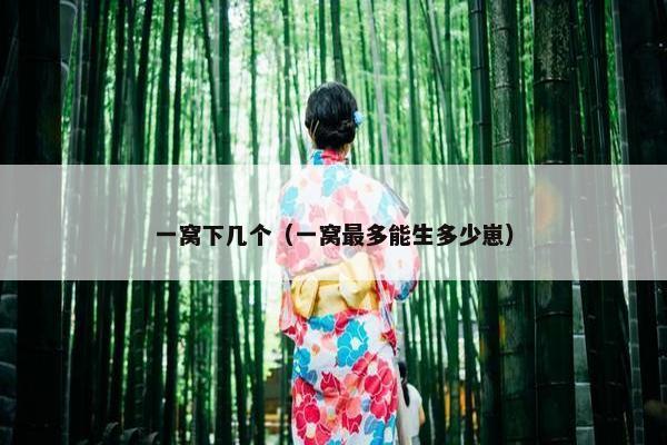 一窝下几个（一窝最多能生多少崽）