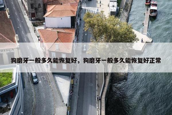 狗磨牙一般多久能恢复好，狗磨牙一般多久能恢复好正常