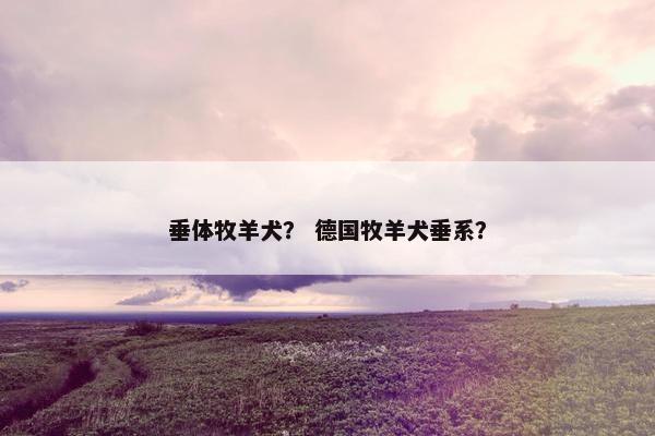 垂体牧羊犬？ 德国牧羊犬垂系？