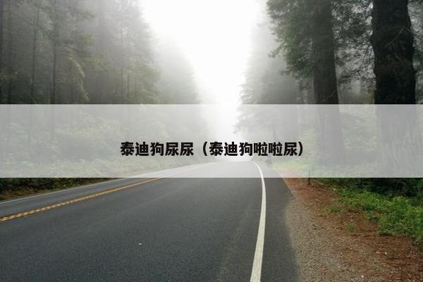 泰迪狗尿尿（泰迪狗啦啦尿）