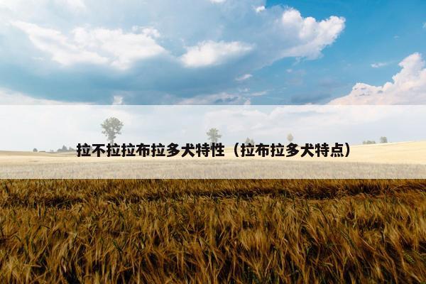拉不拉拉布拉多犬特性（拉布拉多犬特点）