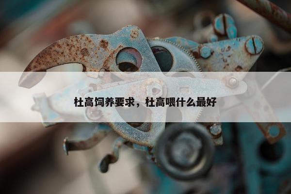 杜高饲养要求，杜高喂什么最好