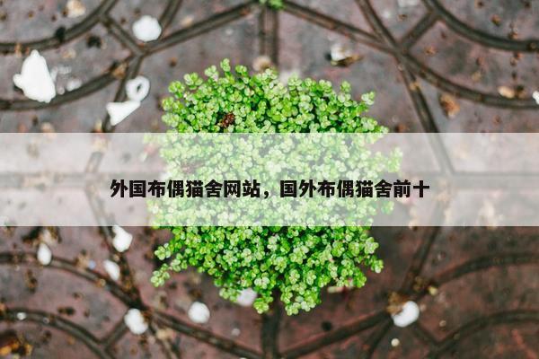 外国布偶猫舍网站，国外布偶猫舍前十