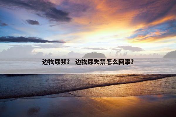 边牧尿频？ 边牧尿失禁怎么回事？