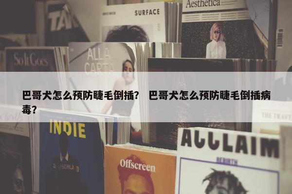 巴哥犬怎么预防睫毛倒插？ 巴哥犬怎么预防睫毛倒插病毒？