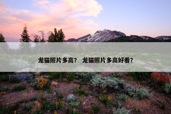 龙猫照片多高？ 龙猫照片多高好看？