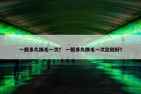 一般多久换毛一次？ 一般多久换毛一次比较好？