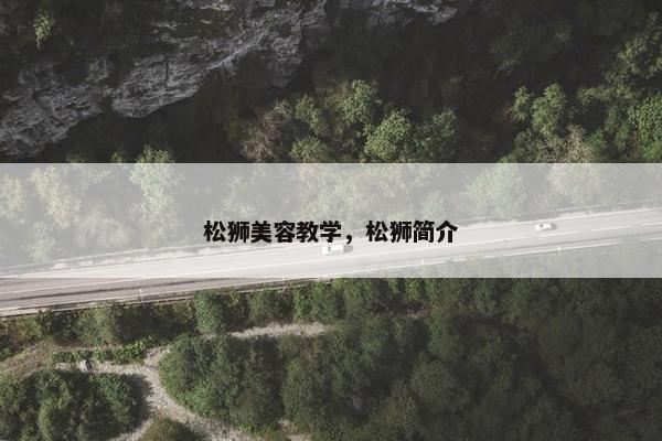 松狮美容教学，松狮简介