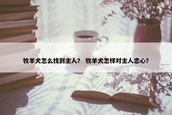 牧羊犬怎么找到主人？ 牧羊犬怎样对主人忠心？