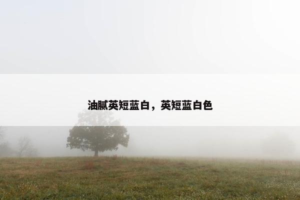 油腻英短蓝白，英短蓝白色