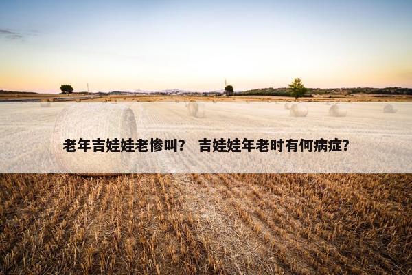 老年吉娃娃老惨叫？ 吉娃娃年老时有何病症？
