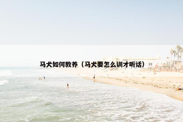 马犬如何教养（马犬要怎么训才听话）