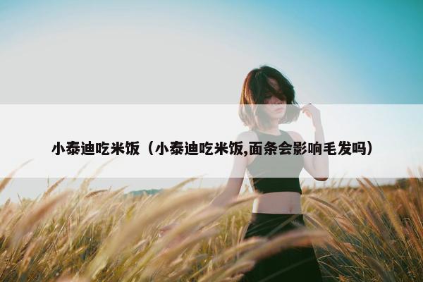 小泰迪吃米饭（小泰迪吃米饭,面条会影响毛发吗）
