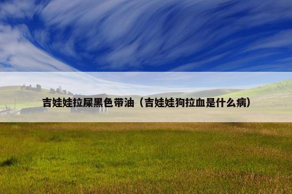 吉娃娃拉屎黑色带油（吉娃娃狗拉血是什么病）