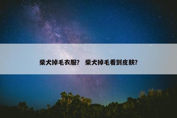 柴犬掉毛衣服？ 柴犬掉毛看到皮肤？