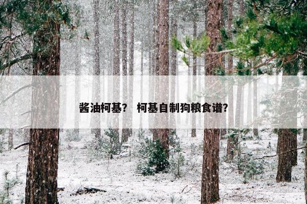 酱油柯基？ 柯基自制狗粮食谱？