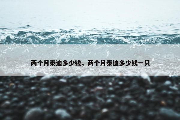 两个月泰迪多少钱，两个月泰迪多少钱一只
