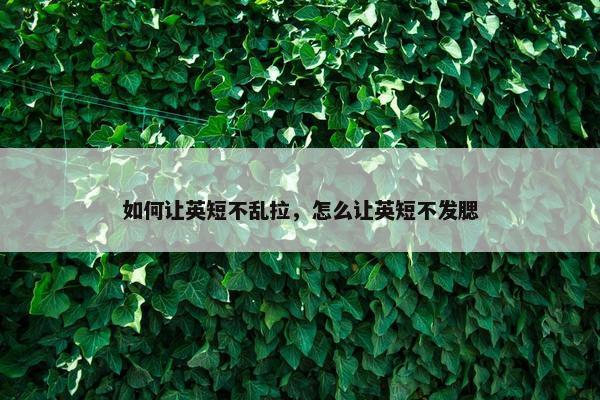 如何让英短不乱拉，怎么让英短不发腮