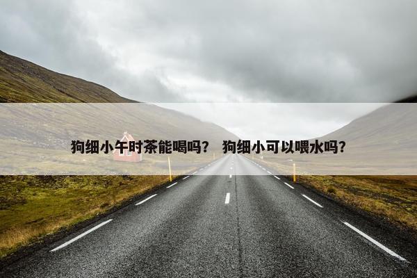 狗细小午时茶能喝吗？ 狗细小可以喂水吗？