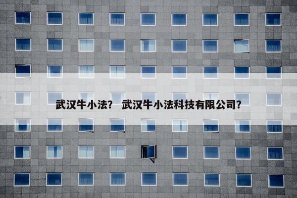 武汉牛小法？ 武汉牛小法科技有限公司？
