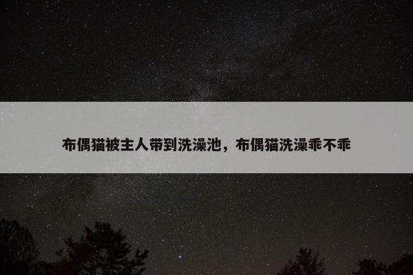 布偶猫被主人带到洗澡池，布偶猫洗澡乖不乖