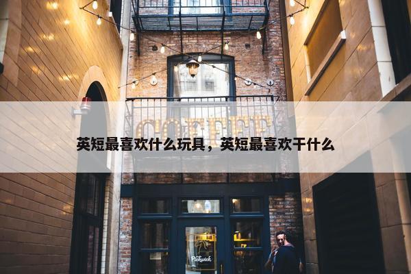 英短最喜欢什么玩具，英短最喜欢干什么