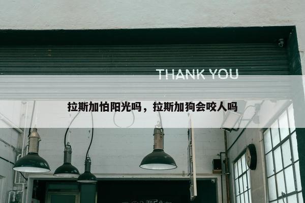 拉斯加怕阳光吗，拉斯加狗会咬人吗