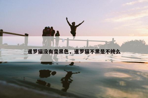 暹罗猫没有变黑色，暹罗猫不黑是不纯么