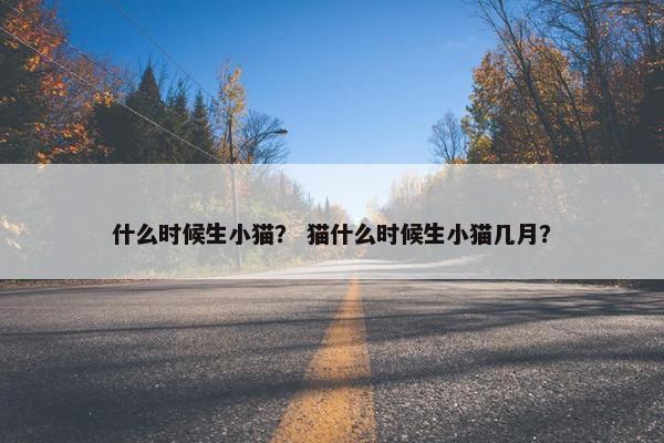 什么时候生小猫？ 猫什么时候生小猫几月？