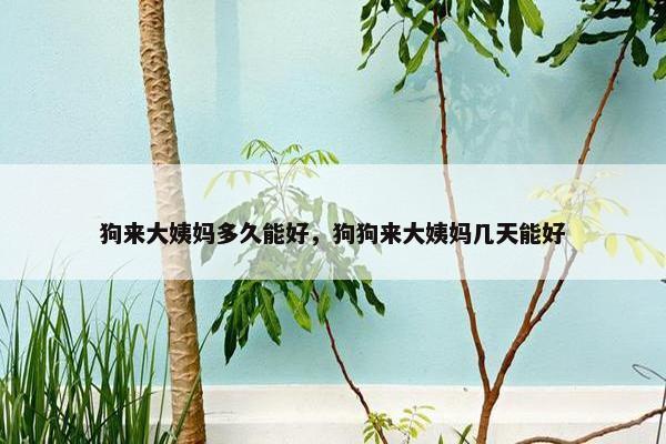 狗来大姨妈多久能好，狗狗来大姨妈几天能好