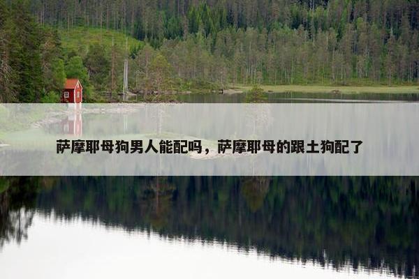 萨摩耶母狗男人能配吗，萨摩耶母的跟土狗配了