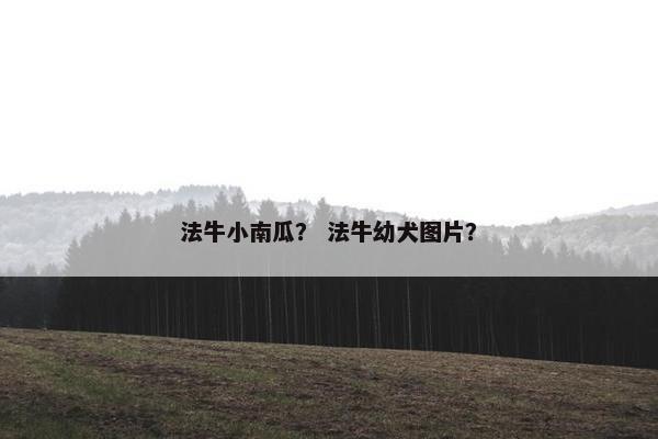 法牛小南瓜？ 法牛幼犬图片？