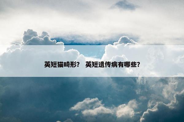 英短猫畸形？ 英短遗传病有哪些？