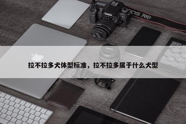 拉不拉多犬体型标准，拉不拉多属于什么犬型