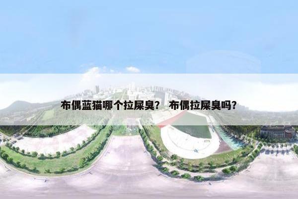 布偶蓝猫哪个拉屎臭？ 布偶拉屎臭吗？