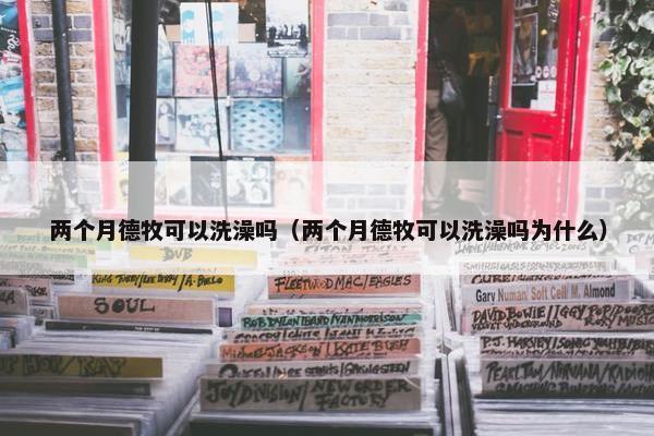 两个月德牧可以洗澡吗（两个月德牧可以洗澡吗为什么）