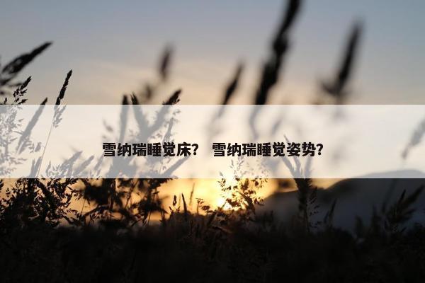 雪纳瑞睡觉床？ 雪纳瑞睡觉姿势？