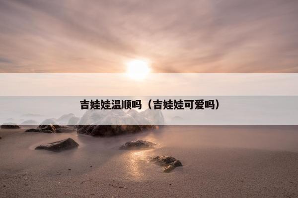 吉娃娃温顺吗（吉娃娃可爱吗）
