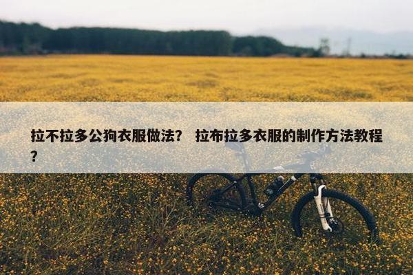 拉不拉多公狗衣服做法？ 拉布拉多衣服的制作方法教程？