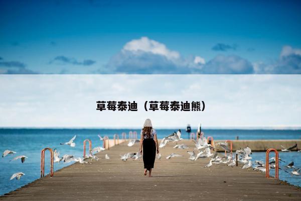 草莓泰迪（草莓泰迪熊）
