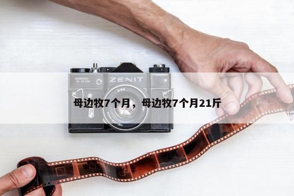 母边牧7个月，母边牧7个月21斤