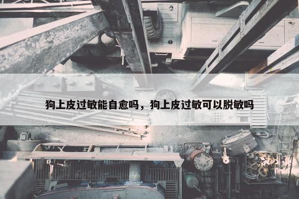 狗上皮过敏能自愈吗，狗上皮过敏可以脱敏吗