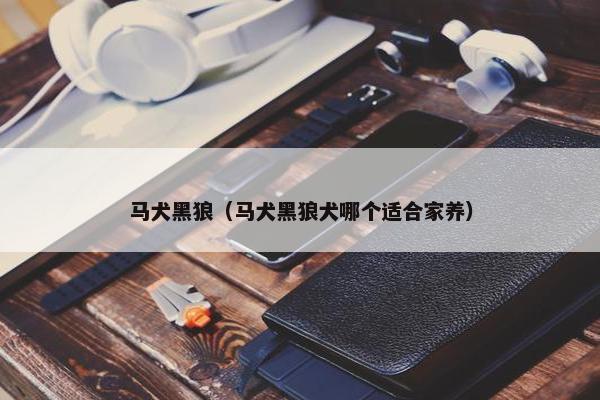 马犬黑狼（马犬黑狼犬哪个适合家养）