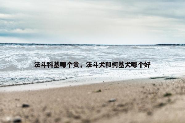 法斗科基哪个贵，法斗犬和柯基犬哪个好