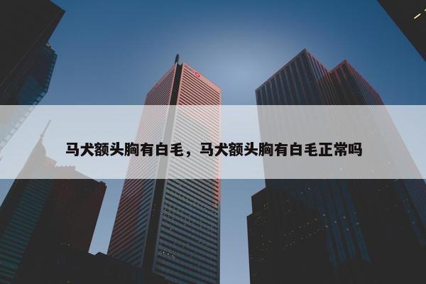马犬额头胸有白毛，马犬额头胸有白毛正常吗