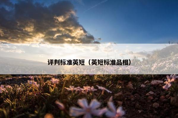 评判标准英短（英短标准品相）