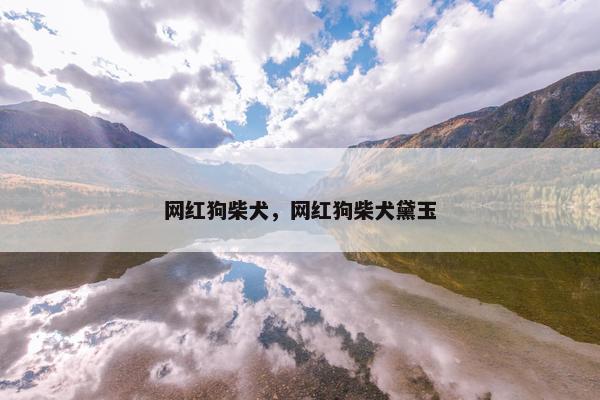 网红狗柴犬，网红狗柴犬黛玉