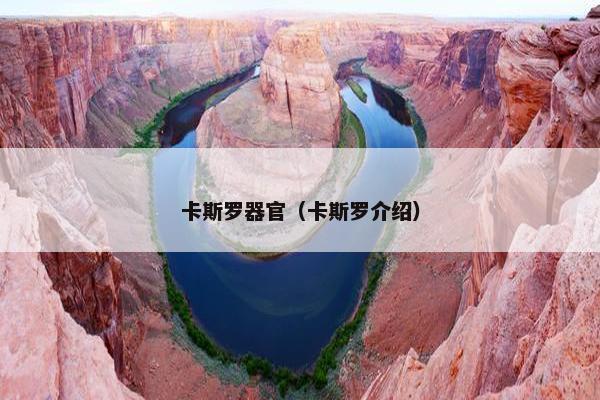 卡斯罗器官（卡斯罗介绍）